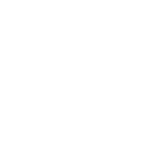 飞凡汽车标识