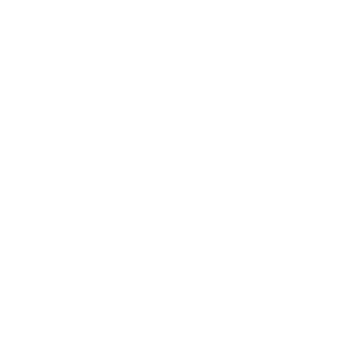ROEWE标识