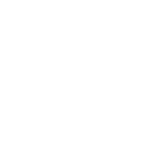 上海科技大学标识